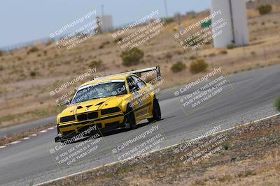 media/May-03-2025-Lucky Dog Racing (Sat) [[206de64b9d]]/Turn 6 (150pm-230pm)/